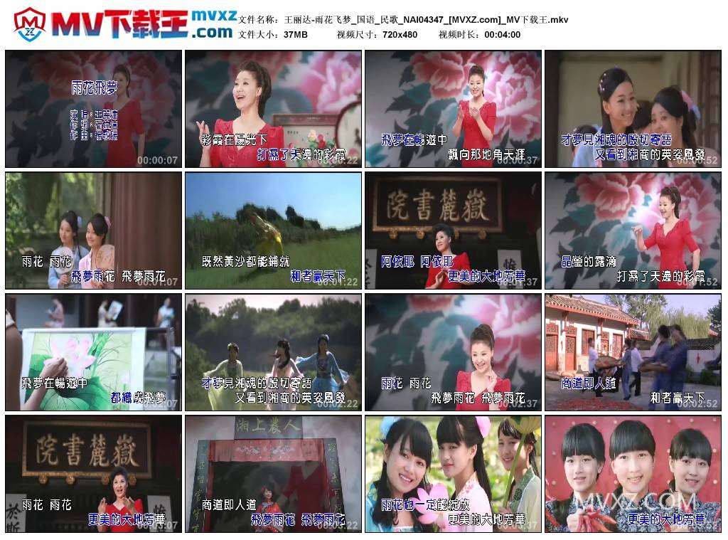 王丽达-雨花飞梦_国语_民歌_NAI04347